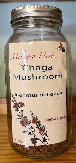 Chaga mushroom powder (dried) - Organic
