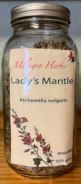 Lady's Mantle (Dried) - Organic