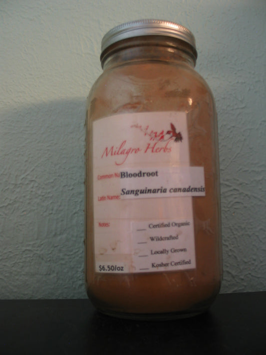 Bloodroot Powder (Dried) _ Organic