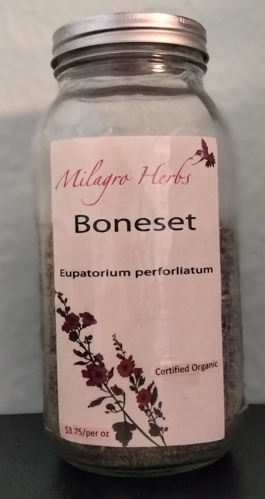 Boneset (Dried) -Organic