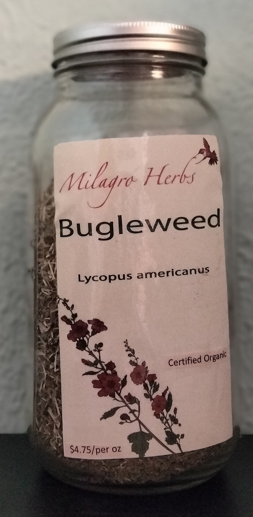 Bugleweed