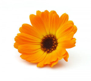 Calendula Tincture