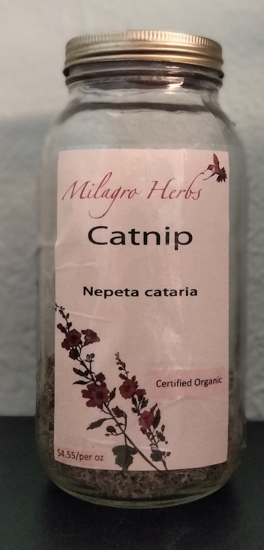 Catnip (Dried) - Organic