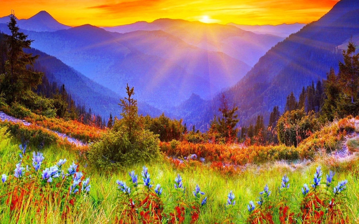 Spiritual Property of Herbs Class with Judy Lieblein Oct. 26th.