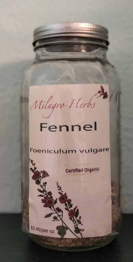 Fennel Seed (Dried) - Organic