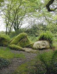 Herbs for Sleep & Nurturing the Dreamtime with Judy Lieblein 3/22/26