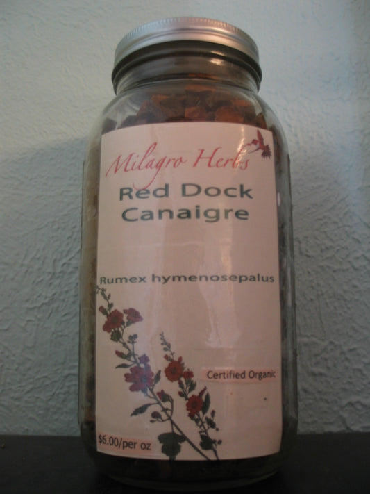 Red Dock (Canaigre) (Dried) - Organic