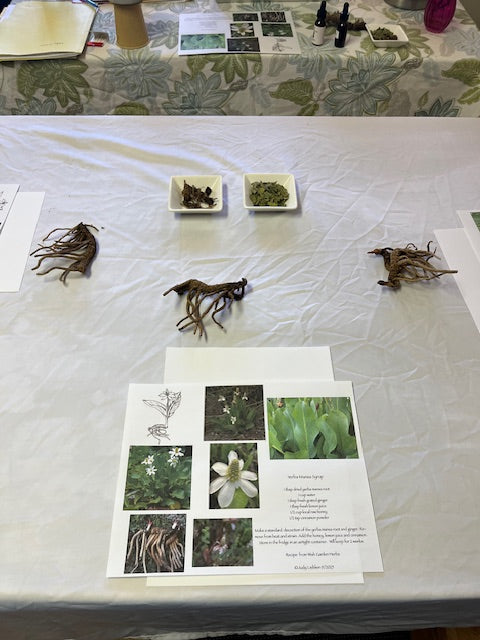 Classes & Events - Milagro Herbs - Handmade Organic Herbal Remedies & Medicinal Plants