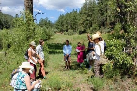 Milagro Herbs Classes