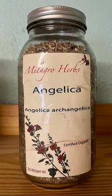 Angelica root (Dried) - Organic - Milagro Herbs - Handmade Organic Herbal Remedies & Medicinal Plants