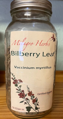Bilberry leaf (Dried) - Organic - Milagro Herbs - Handmade Organic Herbal Remedies & Medicinal Plants