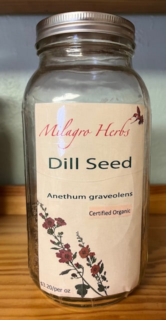 Dill seed (Dried) - Organic
