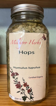 Hops (Dried) - Organic - Milagro Herbs - Handmade Organic Herbal Remedies & Medicinal Plants