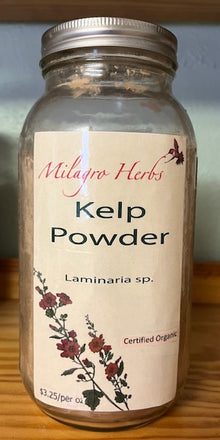Kelp (powder) - Organic - Milagro Herbs - Handmade Organic Herbal Remedies & Medicinal Plants