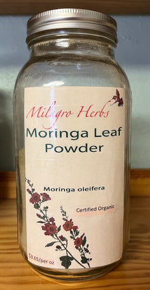 Moringa Powder - Organic - Milagro Herbs - Handmade Organic Herbal Remedies & Medicinal Plants
