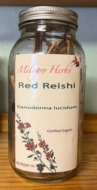 Reishi (Red) Mushroom Slices - Organic