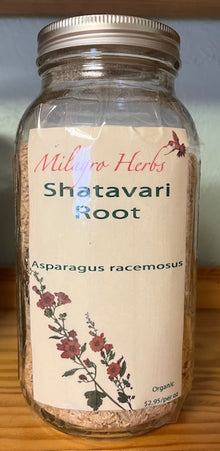 Shatavari Root (Dried) - Organic - Milagro Herbs - Handmade Organic Herbal Remedies & Medicinal Plants