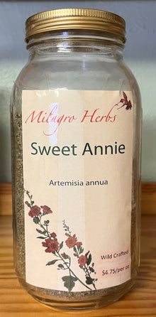 Sweet Annie (Dried) - Organic - Milagro Herbs - Handmade Organic Herbal Remedies & Medicinal Plants