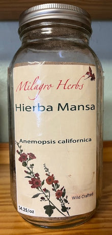 Yerba Mansa (Hierba Mansa) - (Anemopsis californica) - Milagro Herbs - Handmade Organic Herbal Remedies & Medicinal Plants