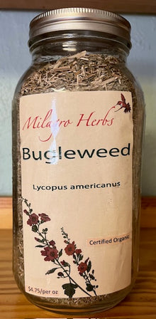 Bugleweed (dried) - Organic - Milagro Herbs - Handmade Organic Herbal Remedies & Medicinal Plants