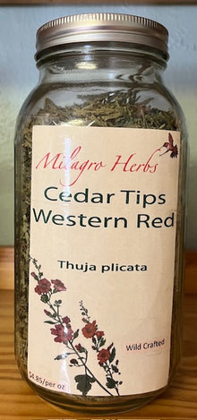 Cedar Tips Western Red (dried) - Wildcrafted - Milagro Herbs - Handmade Organic Herbal Remedies & Medicinal Plants
