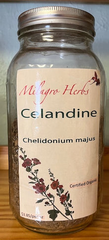 Celandine (dried) - Organic - Milagro Herbs - Handmade Organic Herbal Remedies & Medicinal Plants