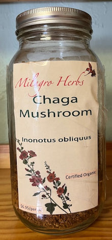 Chaga mushroom powder (dried) - Organic - Milagro Herbs - Handmade Organic Herbal Remedies & Medicinal Plants
