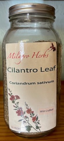 Cilantro leaf (Dried) - Organic - Milagro Herbs - Handmade Organic Herbal Remedies & Medicinal Plants