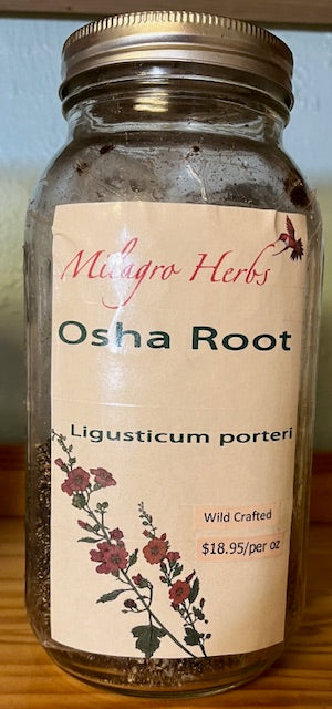 Oshå root (Dried) - Wildcrafted