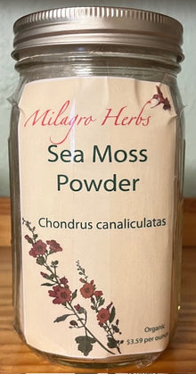 Sea Moss Powder - Organic - Milagro Herbs - Handmade Organic Herbal Remedies & Medicinal Plants