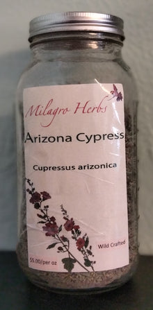 Arizona Cypress (Dried) - Wildcrafted - Milagro Herbs - Handmade Organic Herbal Remedies & Medicinal Plants