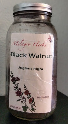 Black Walnut  (Dried) - Wildcrafted - Milagro Herbs - Handmade Organic Herbal Remedies & Medicinal Plants
