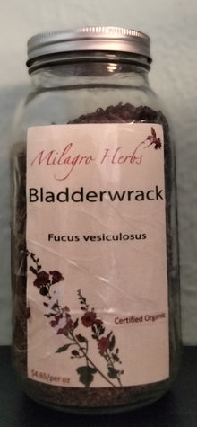 Bladderwrack (Dried) - Organic - Milagro Herbs - Handmade Organic Herbal Remedies & Medicinal Plants