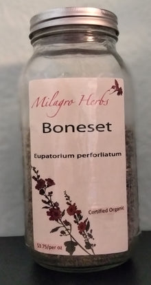 Boneset (Dried) -Organic - Milagro Herbs - Handmade Organic Herbal Remedies & Medicinal Plants