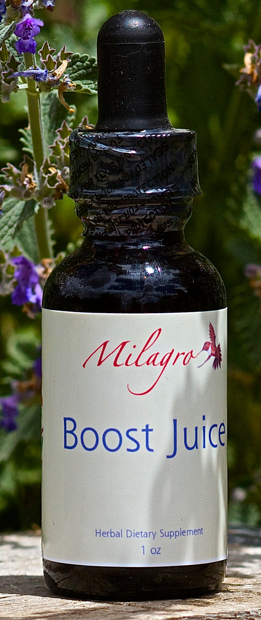 Boost Juice Tincture 1oz