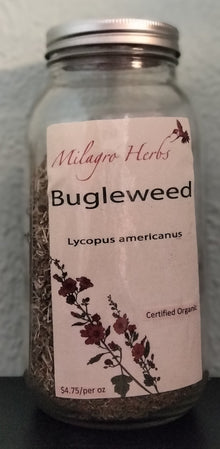 Bugleweed - Milagro Herbs - Handmade Organic Herbal Remedies & Medicinal Plants