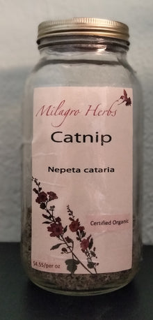 Catnip (Dried) - Organic - Milagro Herbs - Handmade Organic Herbal Remedies & Medicinal Plants