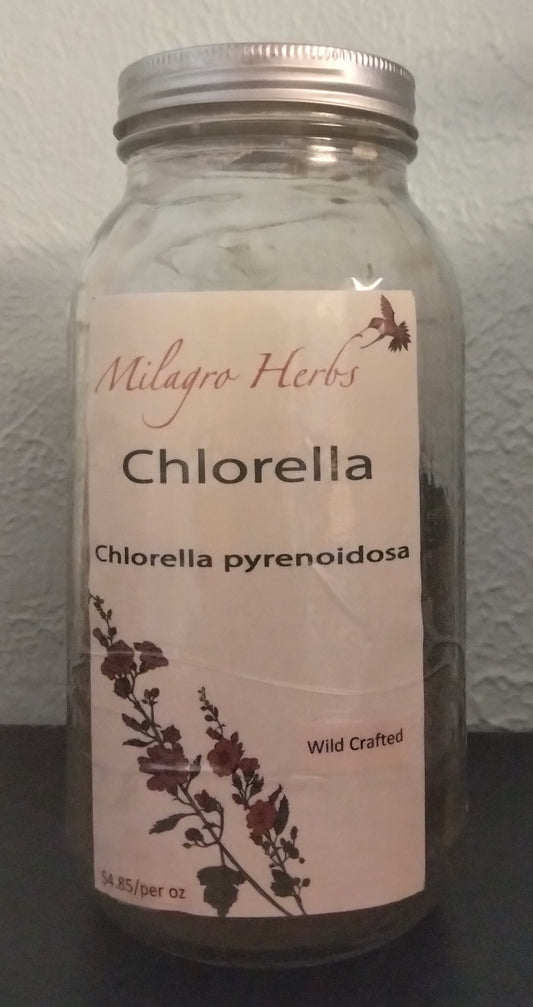 Chlorella (Dried) - Wildcrafted