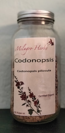 Codonopsis (Dried) - Milagro Herbs - Handmade Organic Herbal Remedies & Medicinal Plants