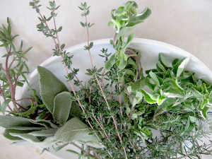 Foundations of Herbal Medicine - Online 150 hour certification