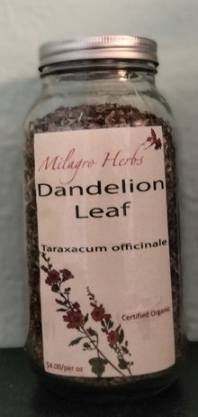 Dandelion Leaf (Dried) - Organic - Milagro Herbs - Handmade Organic Herbal Remedies & Medicinal Plants