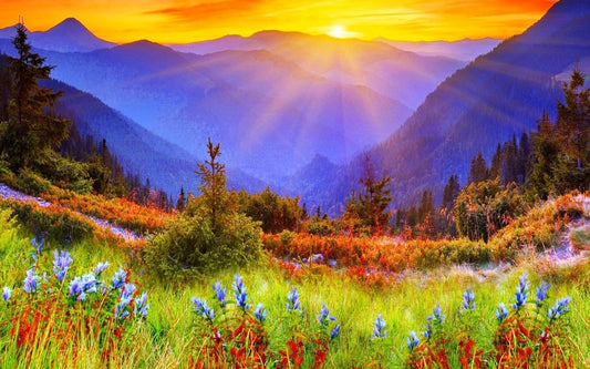 Spiritual Property of Herbs Class with Judy Lieblein Oct. 26th.