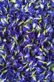 Butterfly Pea Flower (dried)