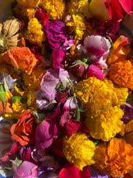 Summer Community Limpia with Via Sagrada Healing - 8/22