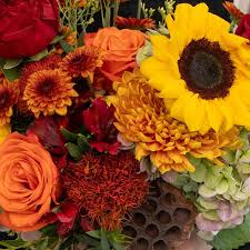 Fall Community Limpia with Via Sagrada Healing - 10/24