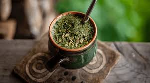 Yerba mate (dried)