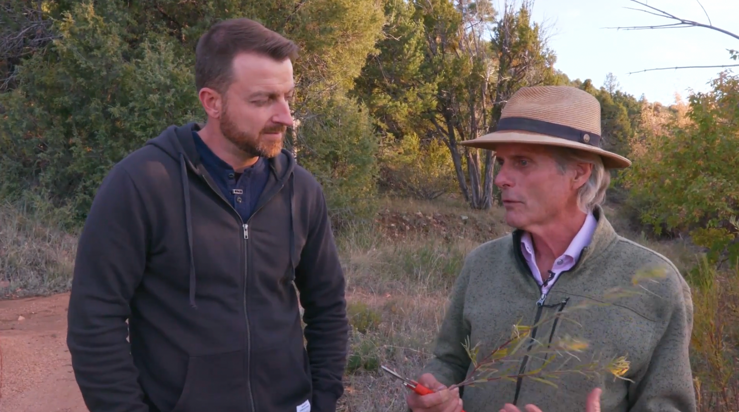 Dr. Tomas Enos Harvesting Plants for Medicinal Purposes