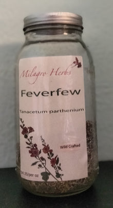 Feverfew (Dried) - Organic - Milagro Herbs - Handmade Organic Herbal Remedies & Medicinal Plants