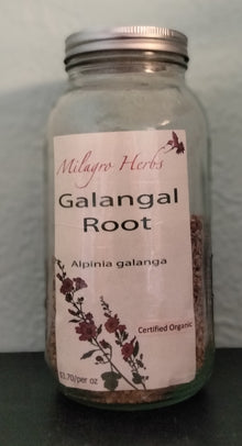 Galangal Rt (Dried) - Organic - Milagro Herbs - Handmade Organic Herbal Remedies & Medicinal Plants