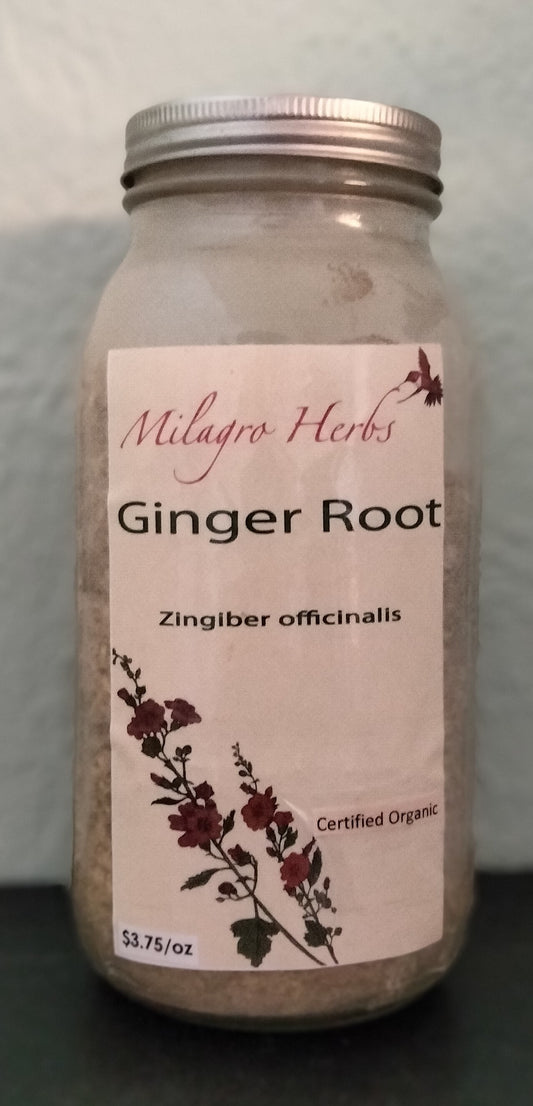 Ginger root (Dried)